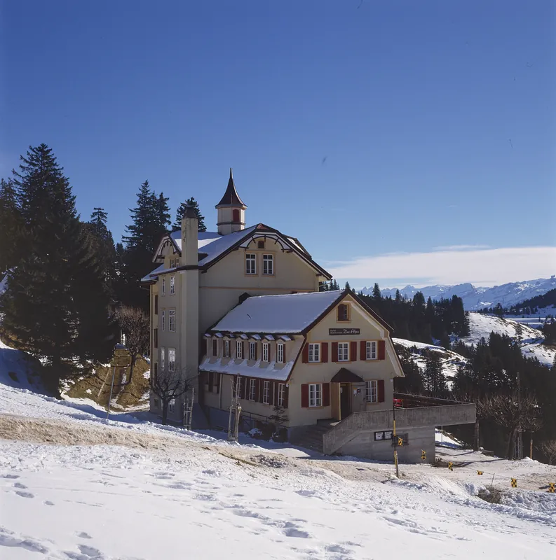 Rigi, Hotel des Alpes (01/1991)