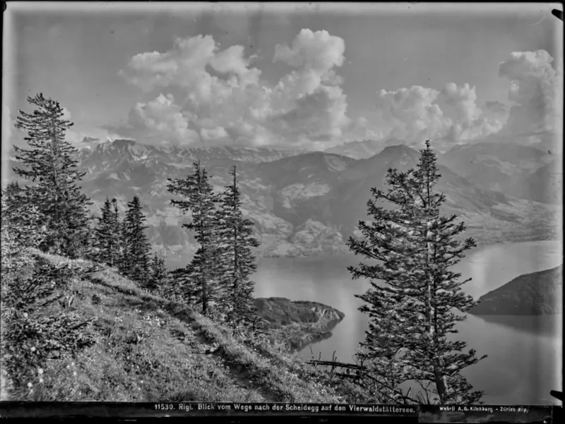 Rigi , Panorama (approx. 1910)