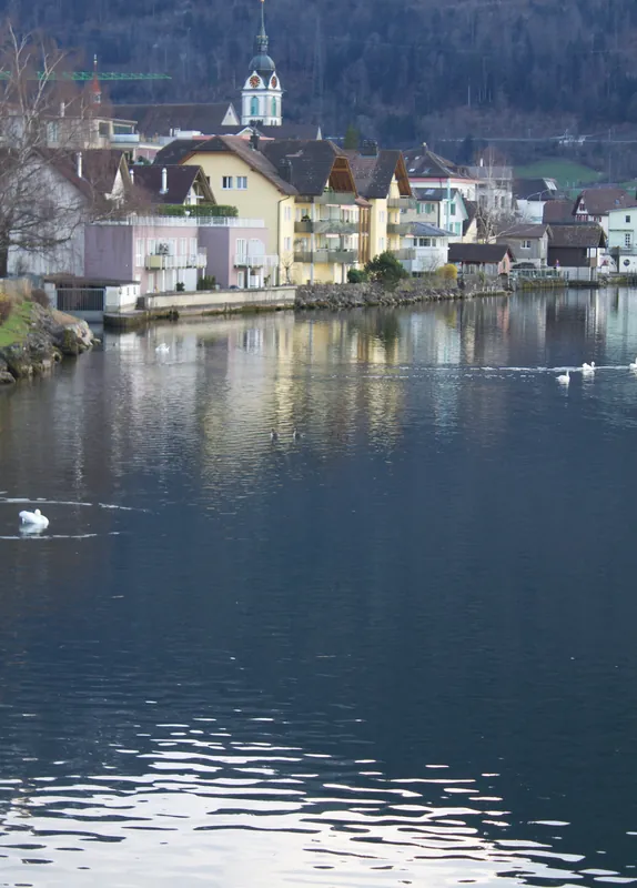 Lake Zug - panoramio (4) (Taken on 17 March 2014)