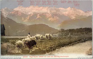 Rigi-Kulm (1800 m) und die Berner-Hochalpen (keine Angabe)