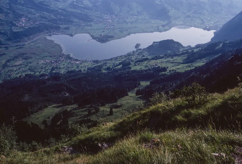 Rigi Hohfluh, view down to the Lauerzer lake (1998)