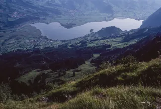 Rigi Hohfluh, view down to the Lauerzer lake (1998)