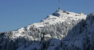 Picswiss SZ-29-42 (2005-12-30)