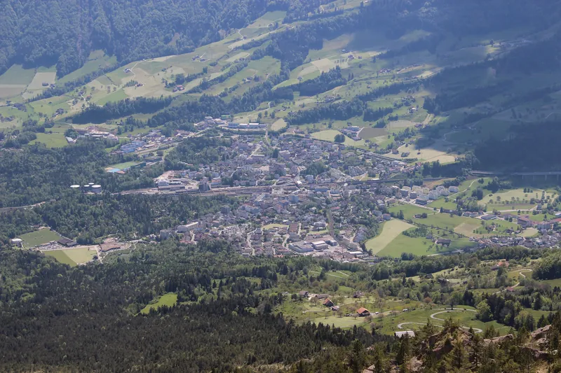 View onto Goldau from the Gnipen (14240488823) (2014-05-18 14:43)