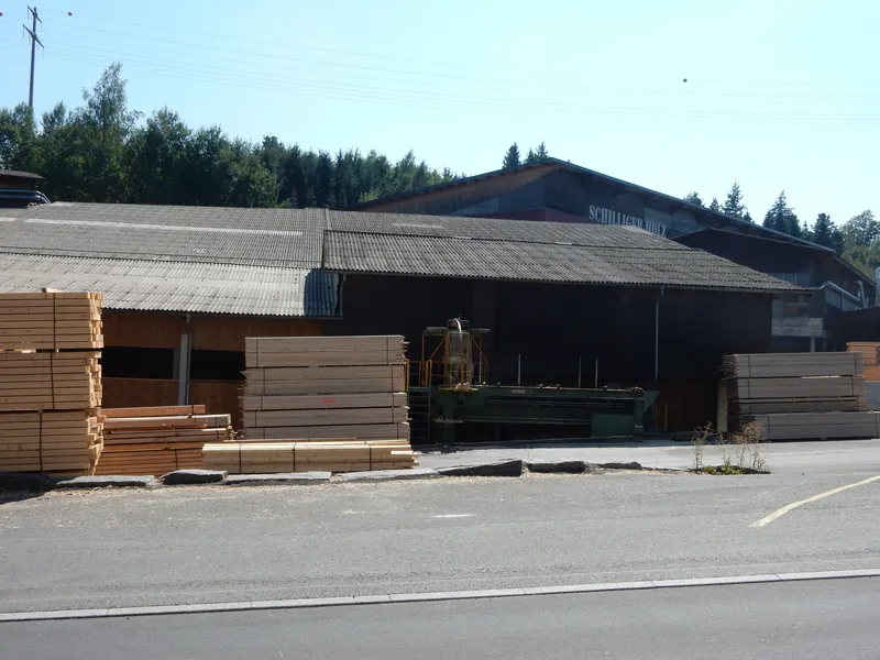Küssnacht am Rigi, Haltikon, Schillinger Holz (08.09.2015)