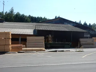 Küssnacht am Rigi, Haltikon, Schillinger Holz (08.09.2015)
