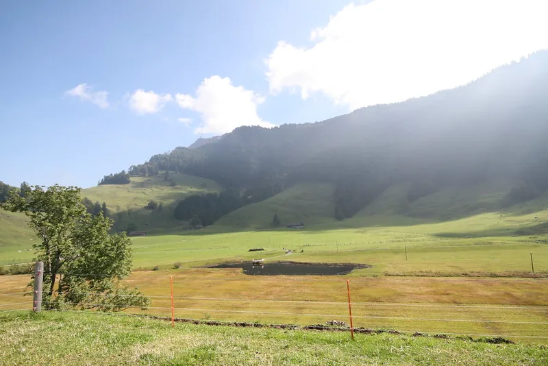 Rigi_Kulm_38