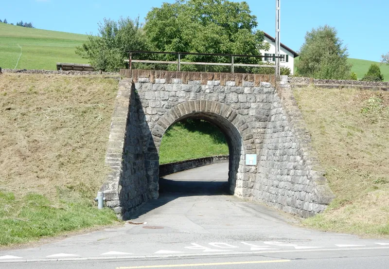 Küssnacht am Rigi, Grossmatt, SBB culvert (08.09.2015)