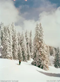 Winterilandschaft auf der Rigi (zwischen 1950 und 1980)