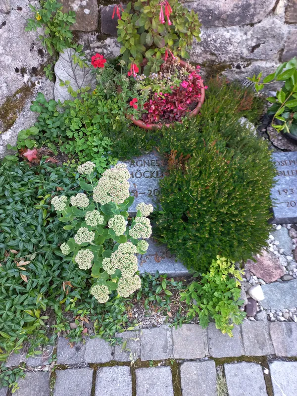 Rigi Kaltbad-cemetery-Grave Agnes Moeckli-01ASD (2023-09-04)