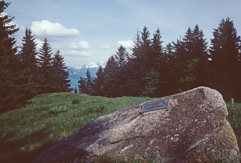 Rigi, Gottertli, Ice Age erratic boulder as a natural object worthy of protection (1981)