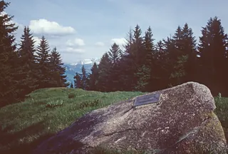 Rigi, Gottertli, Ice Age erratic boulder as a natural object worthy of protection (1981)