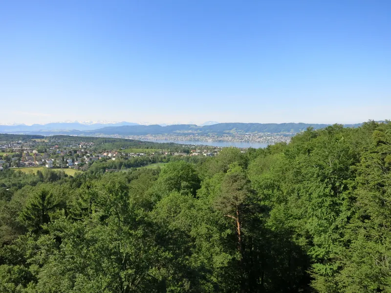 Loorenkopf SO (2014-05-21)