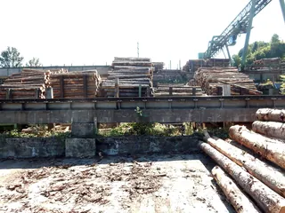 Küssnacht am Rigi, Haltikon, Schillinger Holz (09.09.2015)
