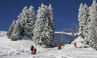 Picswiss SZ-29-64 (2005-12-30)