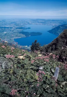 Art Rigi Railway (ARB) (ca. 1975)