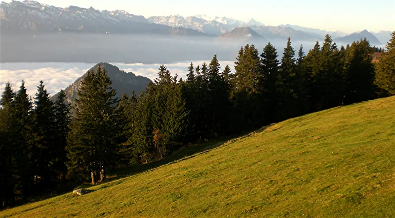 1645-Rigi-Scheidegg (Taken on 17 October 2011, 08:30:20)