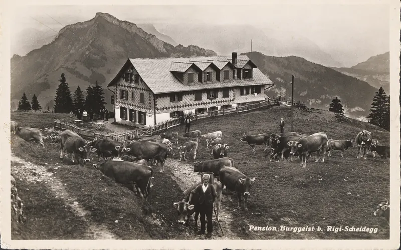 Pension Burggeist b. Rigi-Scheidegg (vor 22.7.1950)