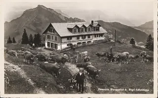 Pension Burggeist b. Rigi-Scheidegg (vor 22.7.1950)