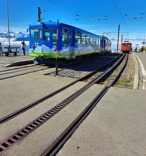 20240906.Arth-Rigi-Bahn.-049.2 (2024-09-06 11:51:13)