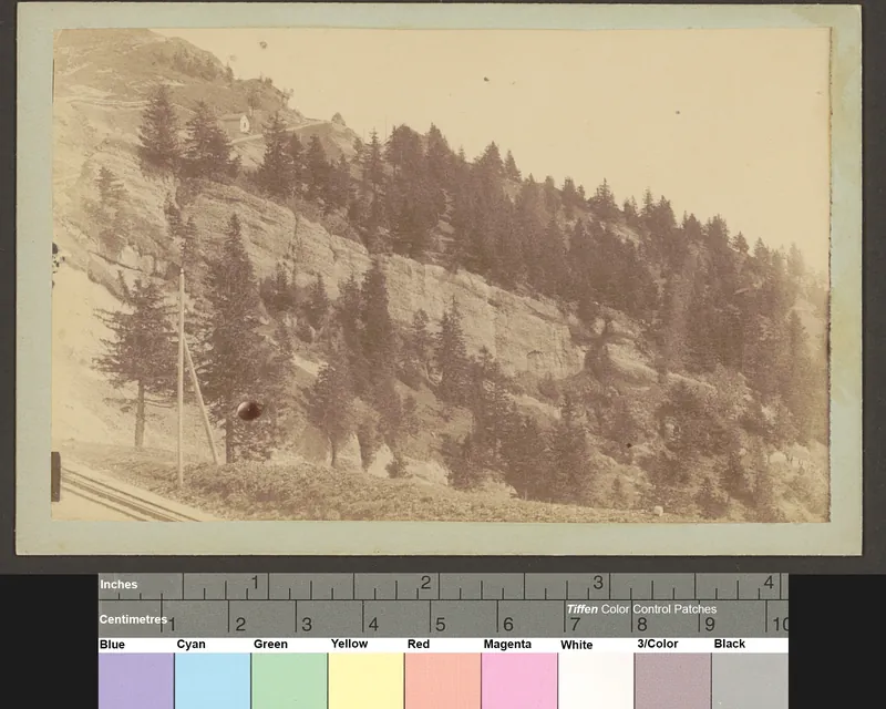 Rigi. Tannen b-Kulm (1886)