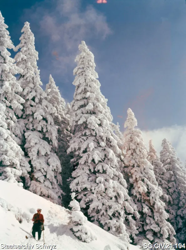 Natur- und Winterlandschaft auf der Rigi (zwischen 1950 und 1980)