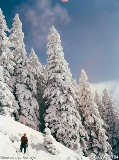 Natur- und Winterlandschaft auf der Rigi (zwischen 1950 und 1980)