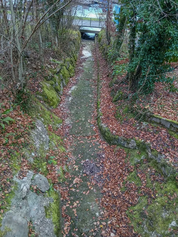 Grütbach, Weggis LU 20251226-jag9889 (2025-12-26 14:35:15)