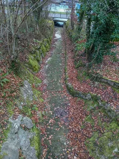 Grütbach, Weggis LU 20251226-jag9889 (2025-12-26 14:35:15)