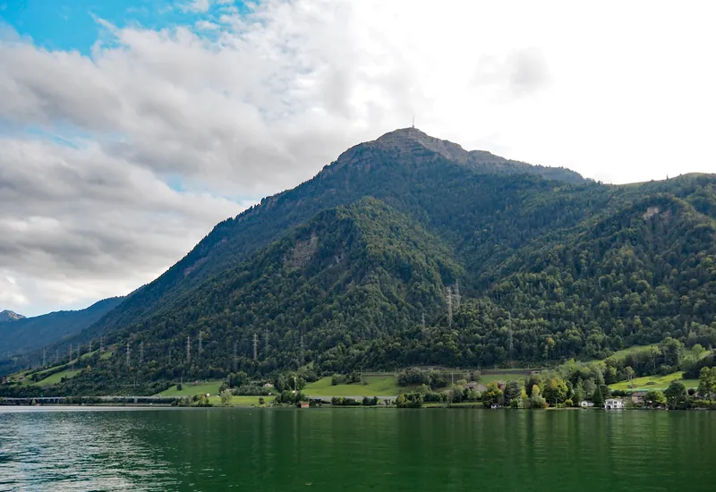 Rigi Fischchratten Zugersee (2026-01-06)