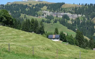 Rigi Kulm von Rigi First (2022-07-19 13:55:29)