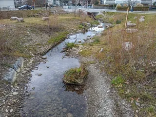 Dorfbach, Küssnacht SZ 20260102-jag9889 (2026-01-02 15:02:27)