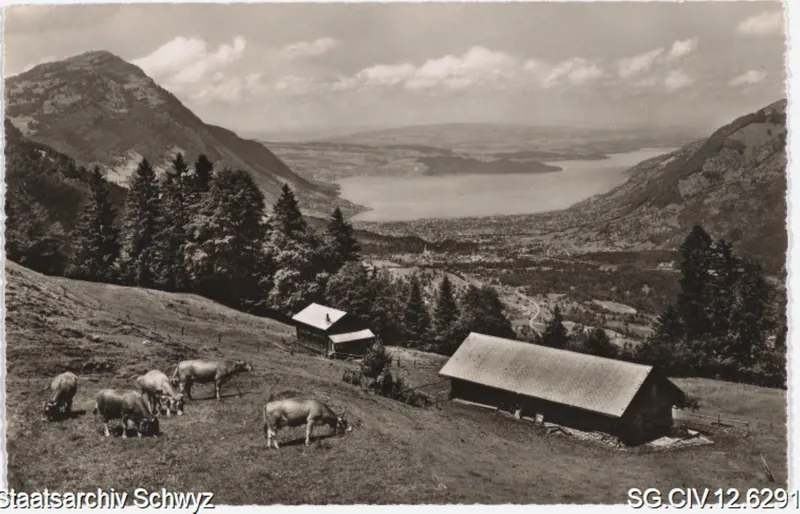 Luftseilbahn Urmiberg: Alp Schwand mit Rigi und Zugersee (keine Angabe)