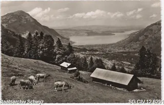 Luftseilbahn Urmiberg: Alp Schwand mit Rigi und Zugersee (keine Angabe)