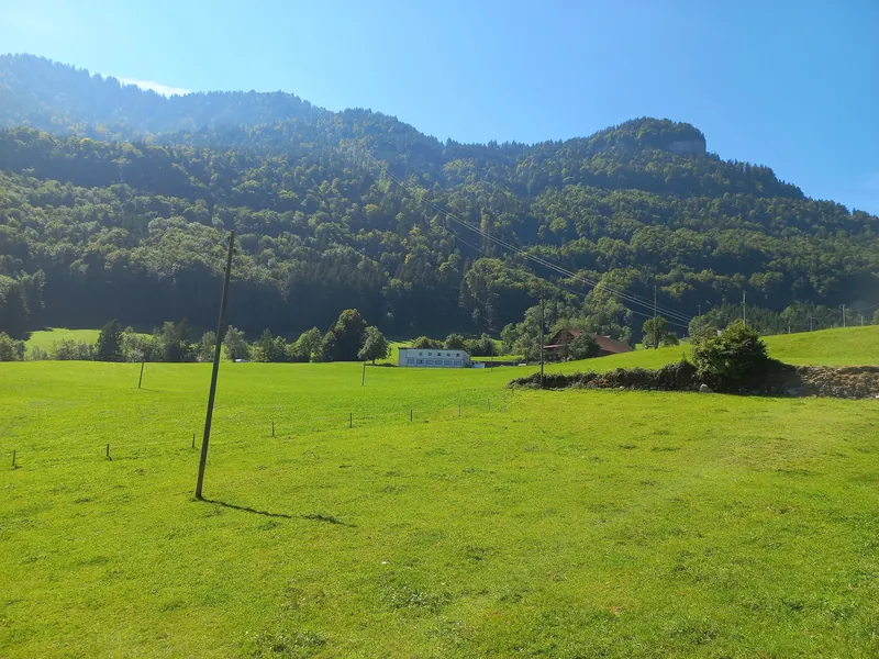 Rigi-Kraebel-01ASD (2023-09-04)