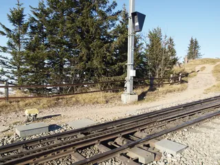 Rigi Staffel B124051 (2011-11-12 14:30:27)