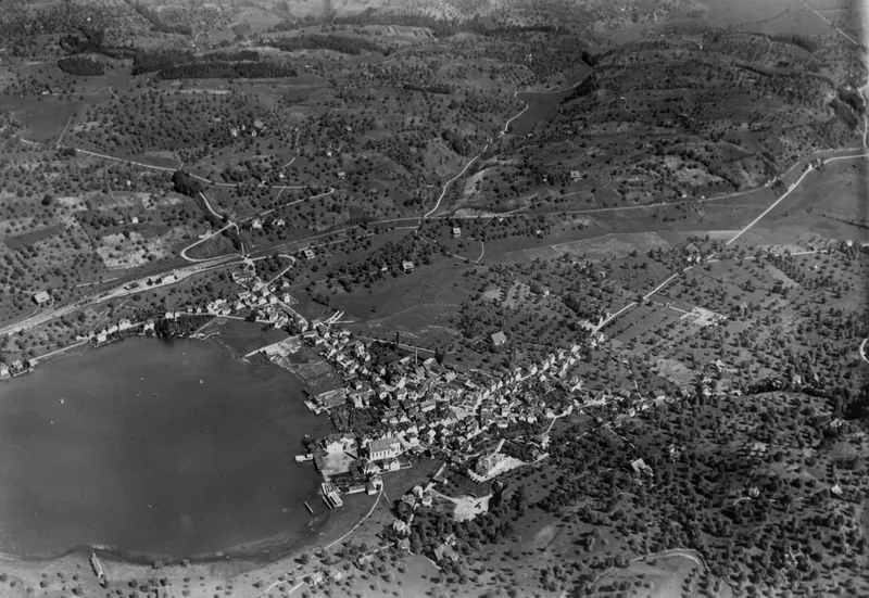 Küssnacht am Rigi v. O. from 800 m (1920)