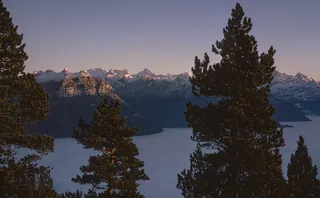 Rigi Hohfluh, pure pine forests are rare in central Switzerland (Föhngeb.) (1969)