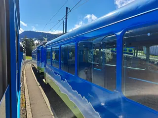 20240906.Arth-Rigi-Bahn.-029 (2024-09-06 10:39:10)