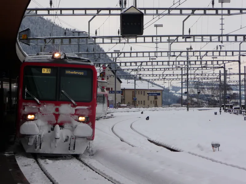 Vitznau, Arth Goldau, special trip on the Rigi Railways (29.01.2010)