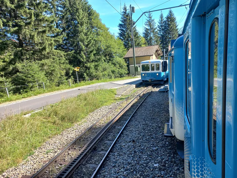 Rack railway Arth-Goldau to Rigi-railway station Rigi Fruttli-encounters-01ASD (2023-09-04)
