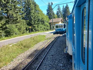 Rack railway Arth-Goldau to Rigi-railway station Rigi Fruttli-encounters-01ASD (2023-09-04)