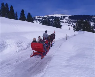 Rigi, Horse-Drawn Sleigh (1978)