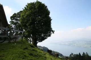 Rigi_Kulm_53