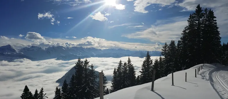 Rigi-Scheidegg (2015-01-21 14:31:01)