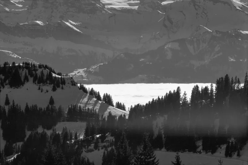 Rigi, winter landscapes (29.01.1991)