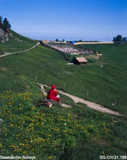 Rigi-Schwingfest auf Rigi-Staffel (zwischen 1950 und 1980)