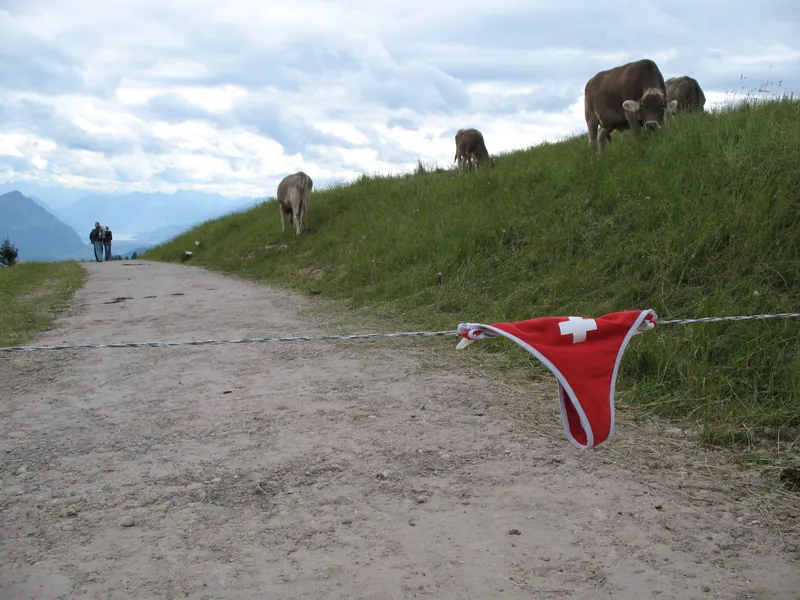 6656 - Rigi - Thong on electrified fence (2007-07-29)