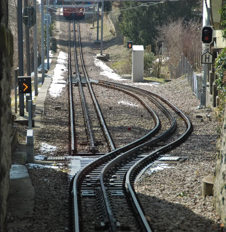 Federweichen Dolderbahn (1) (2009-02-25 14:32:35)