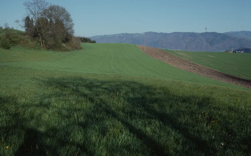 Risch ZG, On golf course southeast of Holzhäusern with the Kathrinenhof, in the background the Zugerberg, Buonas and Rigi (30.03.1994)